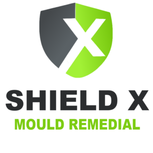 Mould Removal Services Melbourne