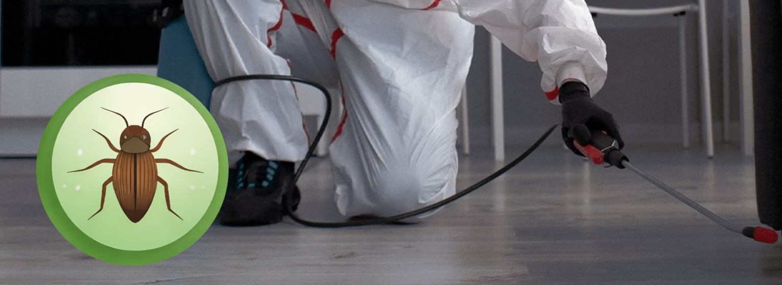 Shield X Solutions Melbourne | Pest Control Services | Split System Clean | Mold Removal | Gutter Cleaning Services